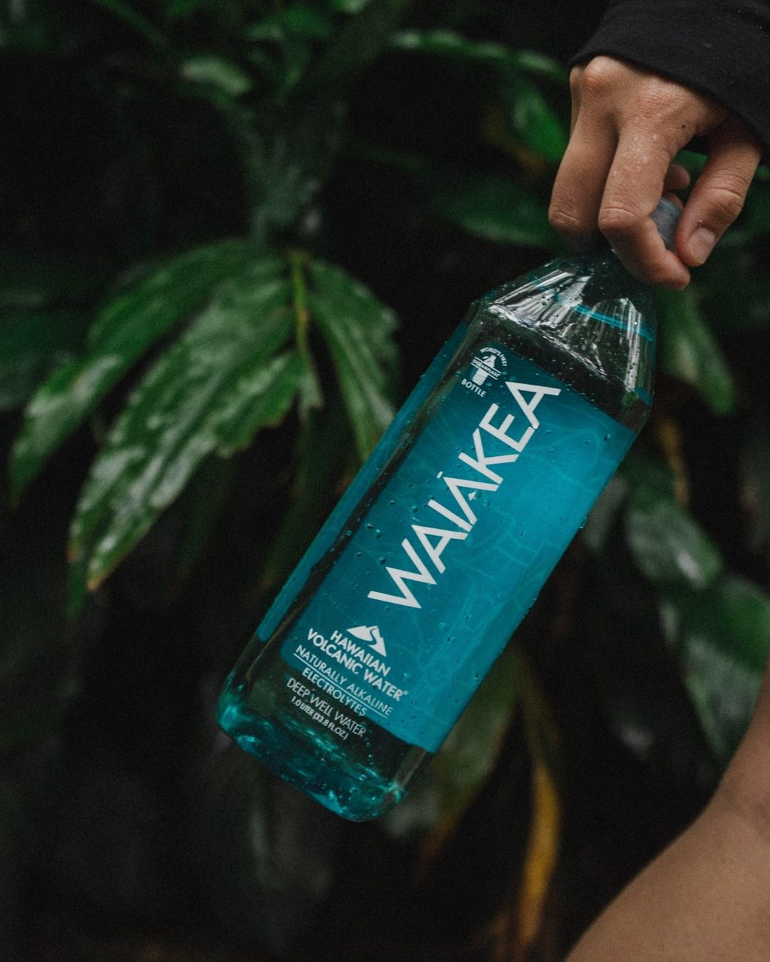 Hawaiian volcanic water bottle in hand with greenery background