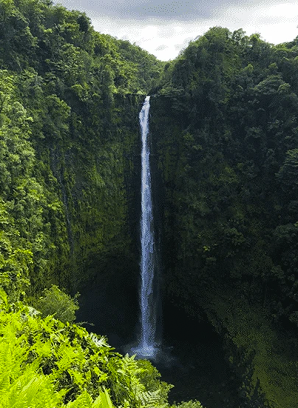 tall waterfall surrounded by lush greenery
