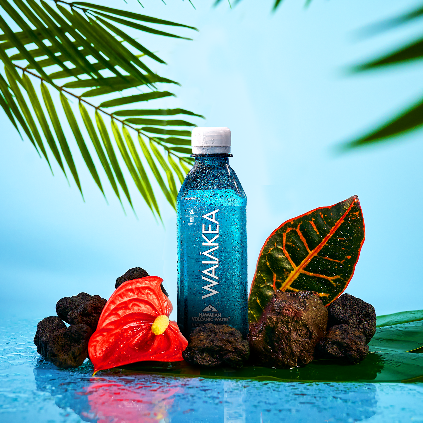 Waiakea Hawaiian volcanic water bottle tropical leaves rocks
