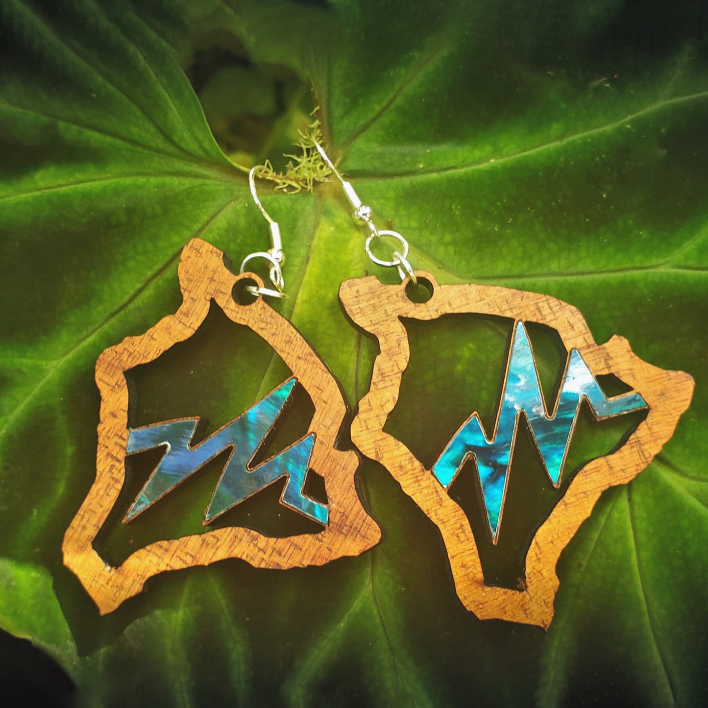 Koa Earrings with Abalone