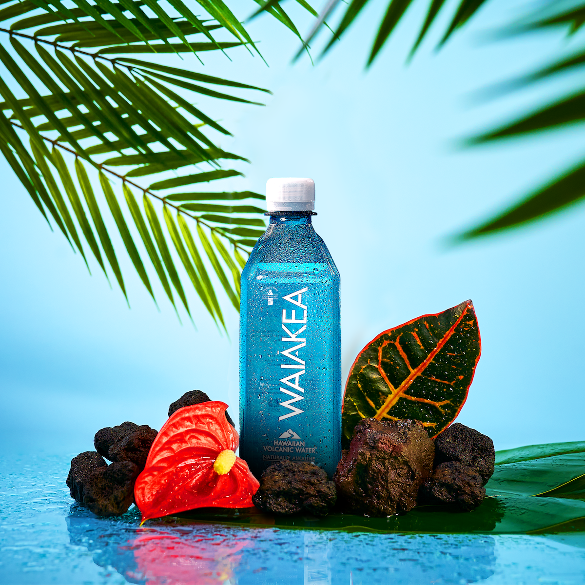 Waiakea Hawaiian Volcanic Canned Coffee - Vanilla & Mocha Flavors Combo Pack, Ready To Drink