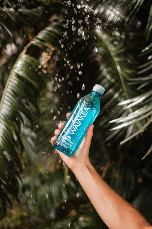 Hand holding up a bottle of Waiakea water under a palm