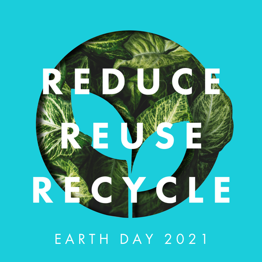 Back to Basics for Earth Day