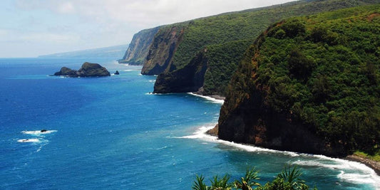 The coast of Hawaii