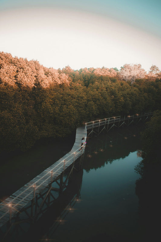 Woman standing on a bridge over a river at sunset