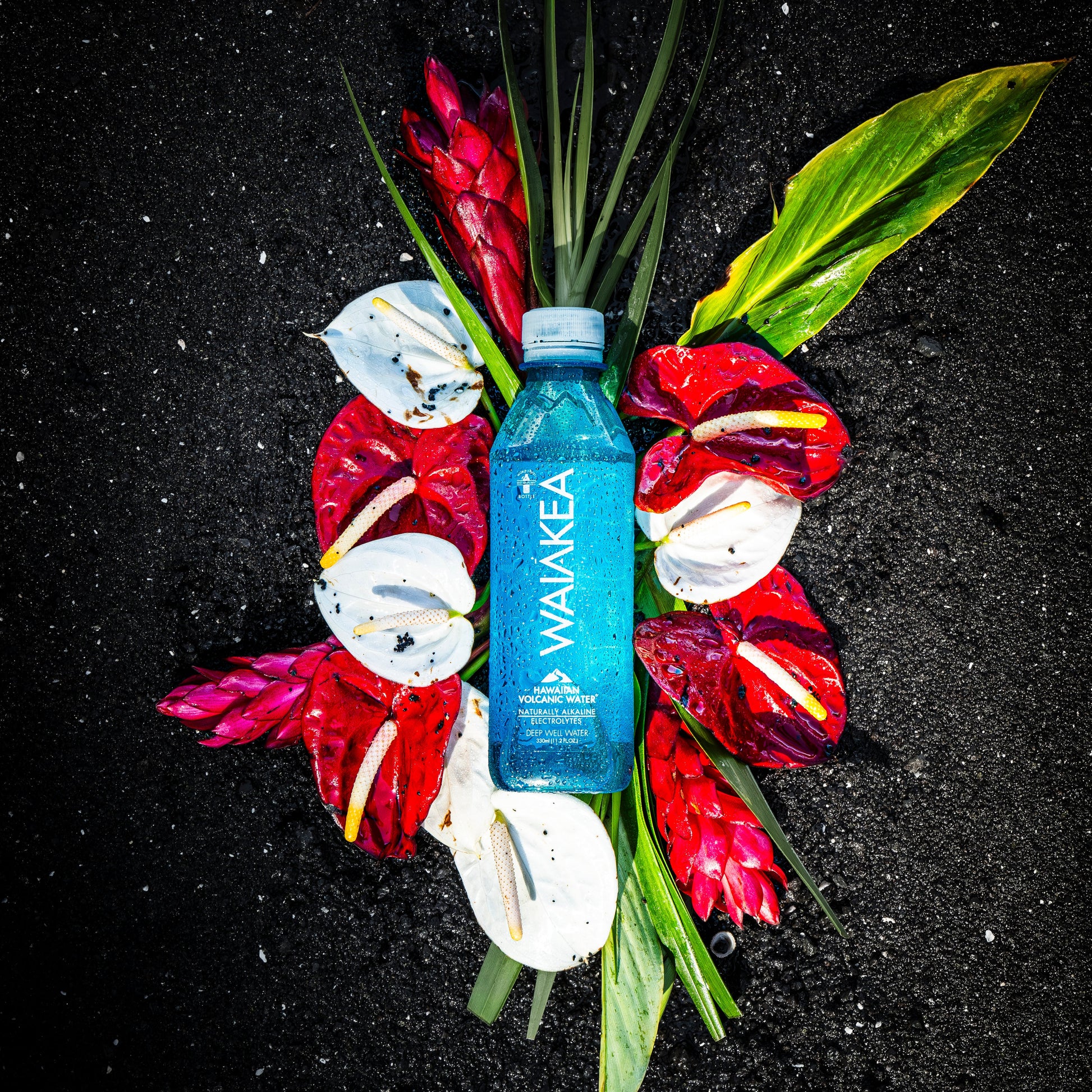 Blue bottle surrounded by red and white flowers on a black background