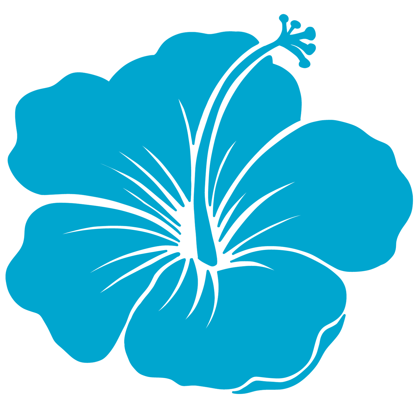 Blue hibiscus flower illustration