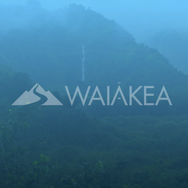 waiakea logo