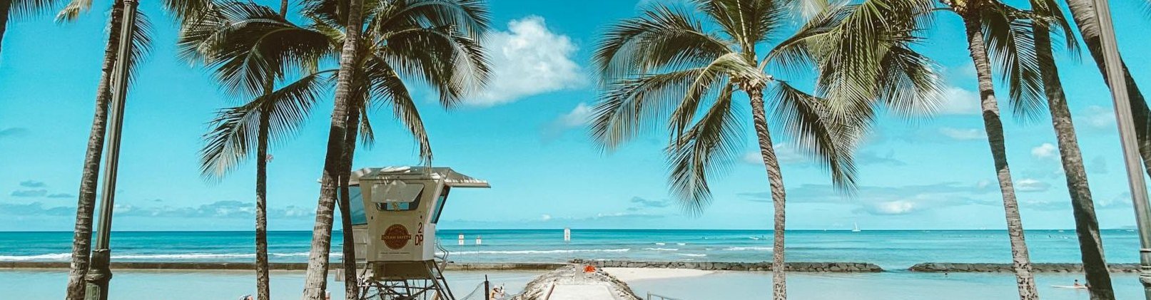 Beach scene with palm trees and lifeguard tower.