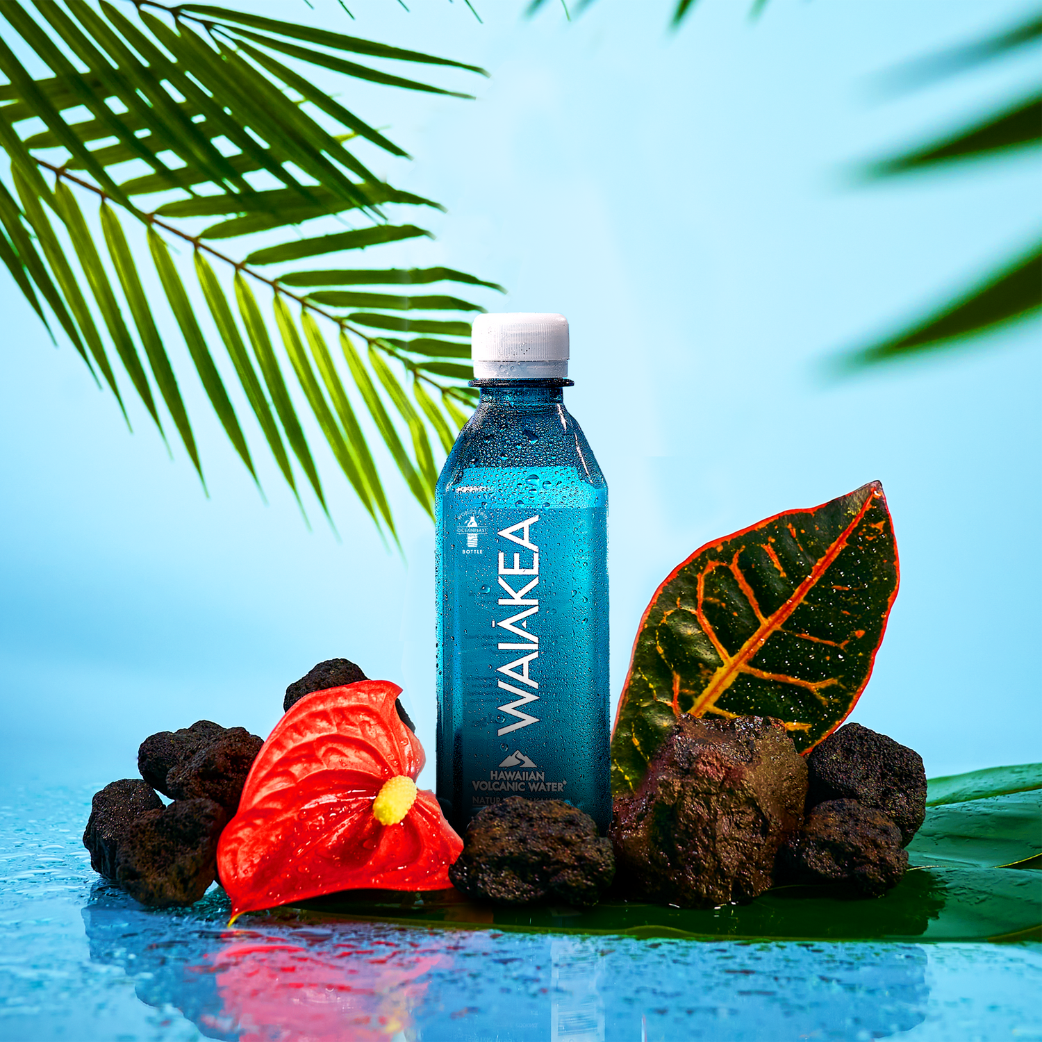 Pēpē - Waiakea (330 mL)